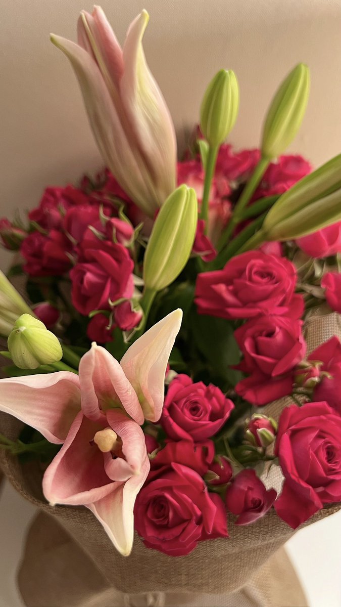 zrxil9's tweet photo. يبدو أني أخذتُ من اسمي نصيبًا. https://t.co/GwlBycZLqo
