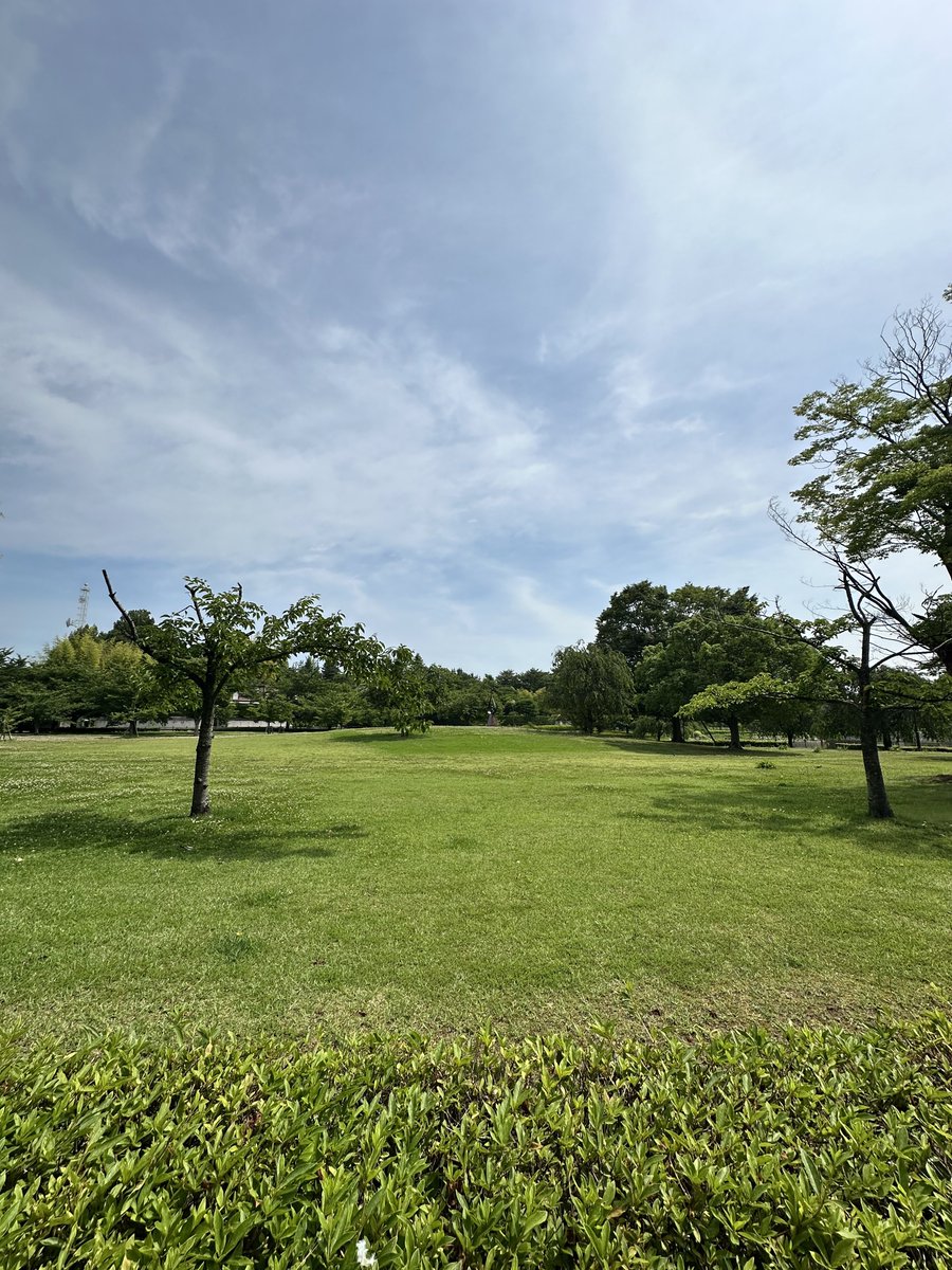 giuli1750's tweet photo. こちらが34年間務めた会社を辞めた翌日の青空です https://t.co/l8E668OnDJ