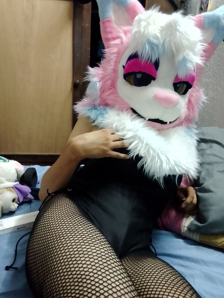 GoddessHatysa's tweet photo. Hi! I'm Hatysa! Queen of the Lower Nile and of your Heart! 😺👑
This is a place where I'm going to send spicy photos and maybe some videos... if you're interesed stay tune!
👀💦
#fursuiter #yiff #murr https://t.co/2I2JKvXP47