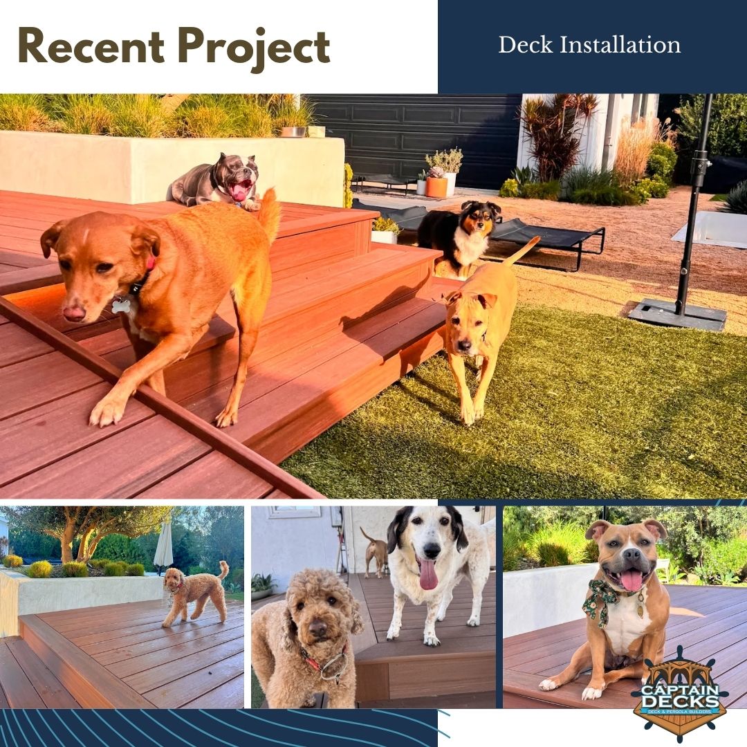 captain_decks's tweet photo. A recent project that truly made our team proud. 🐾 Our goal was to create a space that worked beautifully for both people and animals with thoughtful design.

For a free quote, call (858) 529-7077 or visit https://t.co/YupSsEtcvP 

#CaptainDecks #DeckBuilder #CustomDeck https://t.co/4e7frknyck