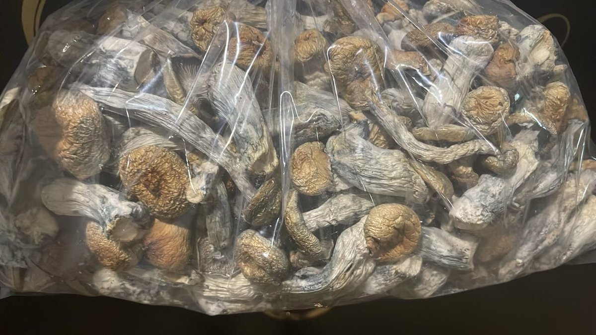 prime_ascent's tweet photo. Mushroom Packs 
#Dallasfreaks #DallasFortWorth https://t.co/lOCPRBBNsW