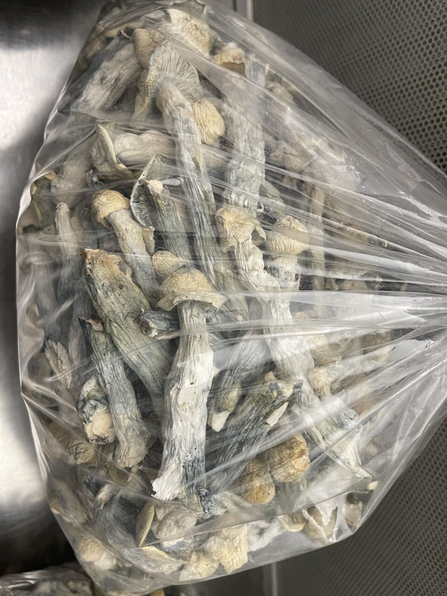 prime_ascent's tweet photo. Mushroom Packs 
#Dallasfreaks #DallasFortWorth https://t.co/lOCPRBBNsW