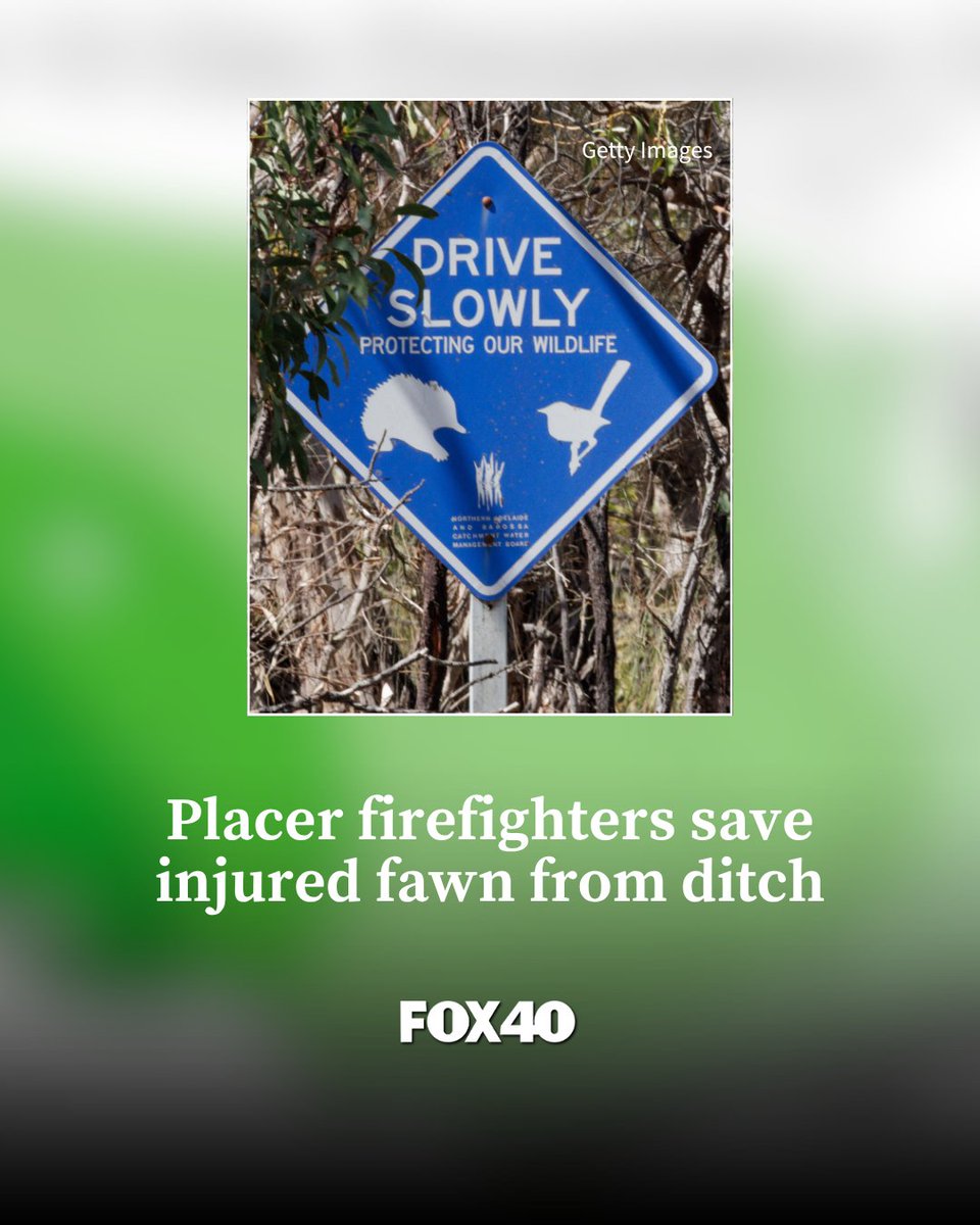FOX40 tweet picture
