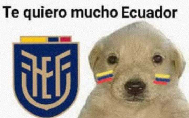 taecitoluvs's tweet photo. ni femenino, ni masculino, solo ecuatoriana. ¿mi género? ecuador. ¿qué tengo entre mis piernas? mitad del mundo. ¿pronombres? ence/bollado. ¿es usted un niño o una niña? soy un racimo de verde https://t.co/cQ4Grrq4T5