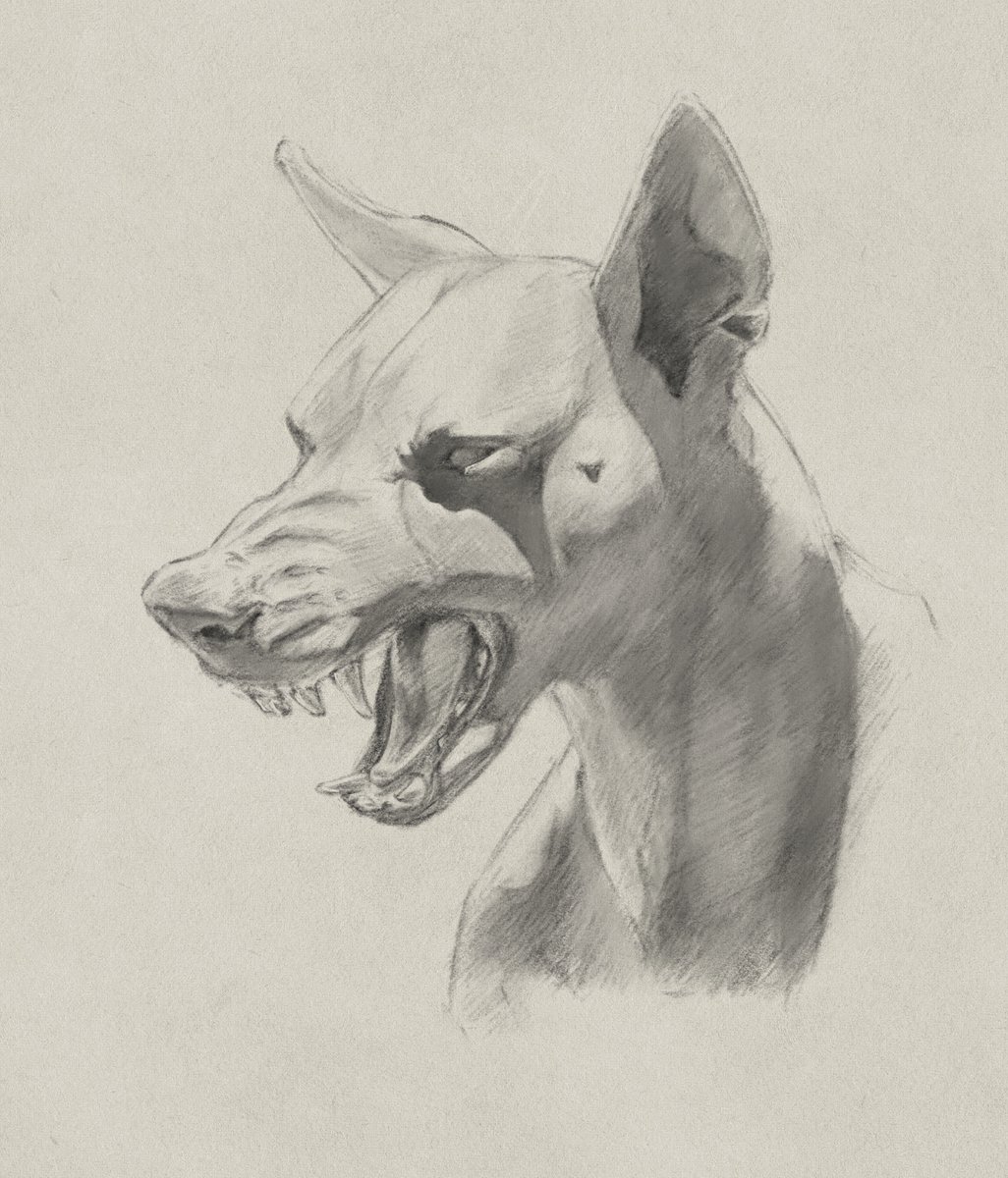 bbenwashere's tweet photo. Photo study trying out much softer shading than my usual. https://t.co/9eoWTpvznZ