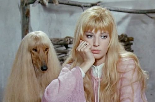 alliharvard's tweet photo. monica vitti, 1967 https://t.co/DEL0h8zpgz