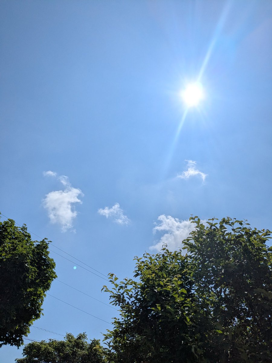 harebaresun12's tweet photo. 今日から7月！
サイコーのお天気でスタート✨
今月もよろしくお願いします🙌 https://t.co/Oj7UId8QA1