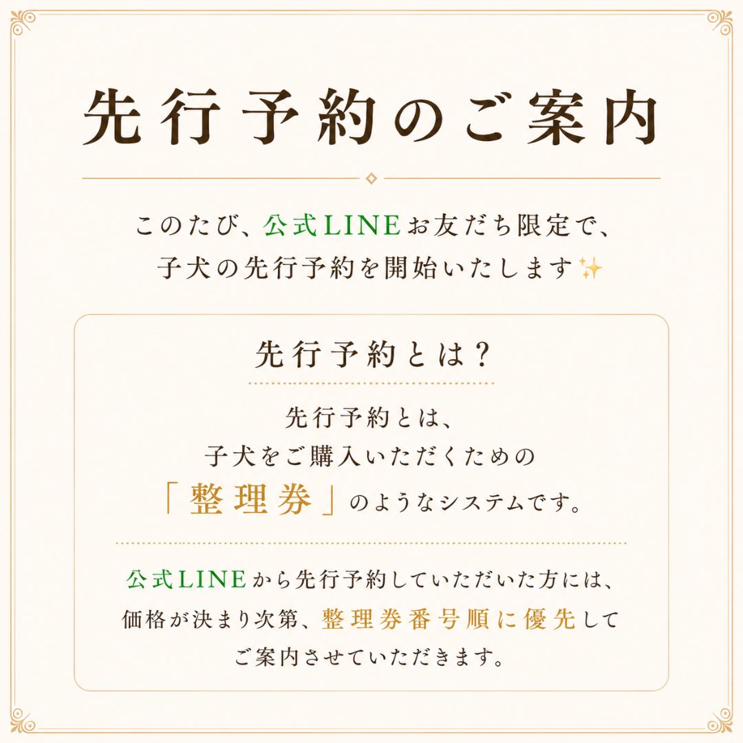 Puumama_38's tweet photo. 小さな犬舎
mogmogmonsters🐾

私たちは
🐶ボストンテリア
🐶ポメラニアン
🐶チワワ
を育てている小さな犬舎です🐶
⁡
7月6日（月）20:00より
✨公式LINEお友だち限定✨
先行予約をスタートします！⁡

🌷当犬舎では、生まれたばかりの子犬にすぐ価格を付けず、成長を見守ってから価格を決定しています。

そのため、価格決定後に順番にご案内する【先行予約】を行っています😊

詳しい仕組みは
コメント欄からご確認いただけます✨
⁡
皆さまとの素敵なご縁を楽しみにしています🌷