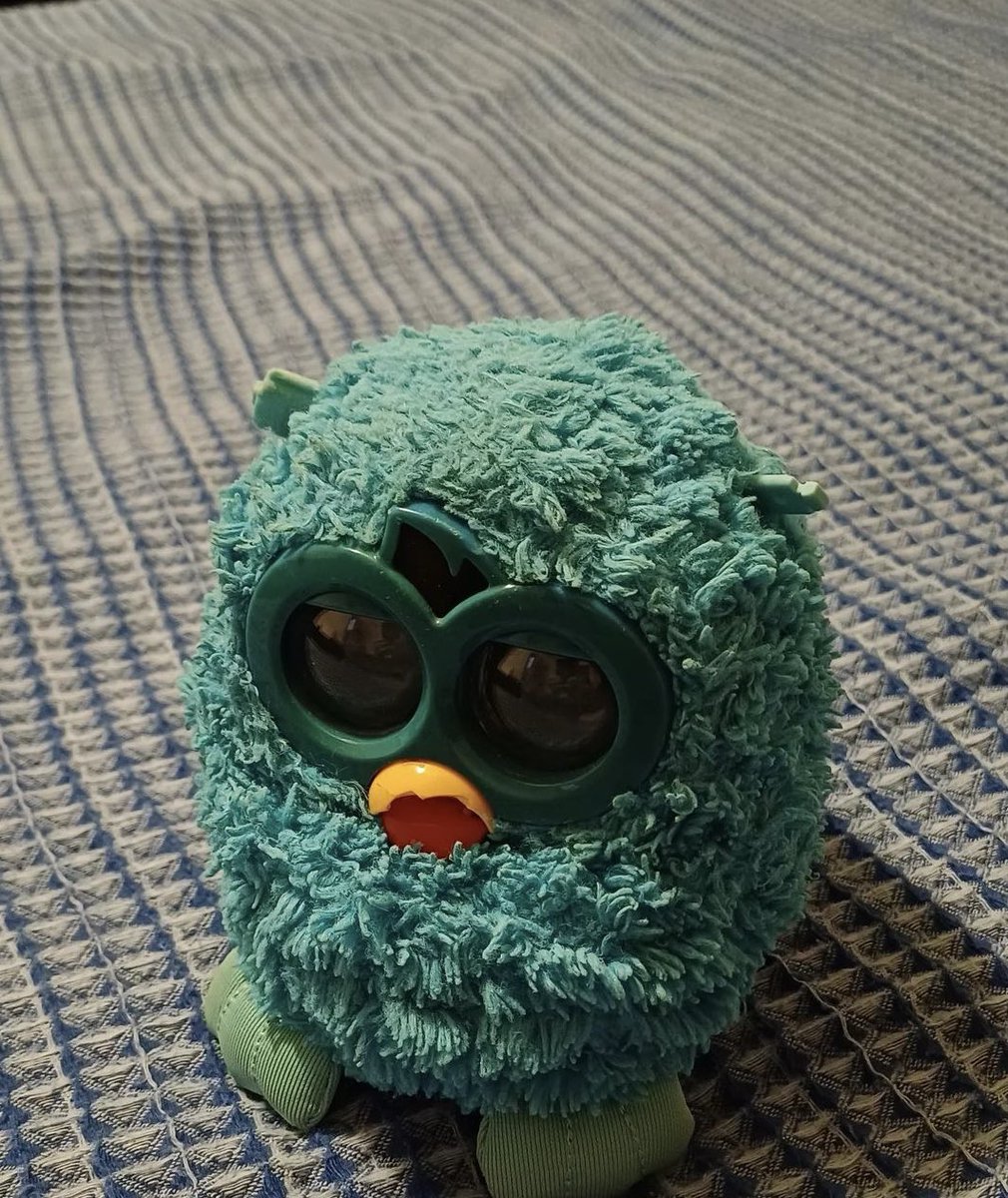 Jessdottson_'s tweet photo. Poor baby his beak broke😭😭
#furby https://t.co/GGP7pCqciQ