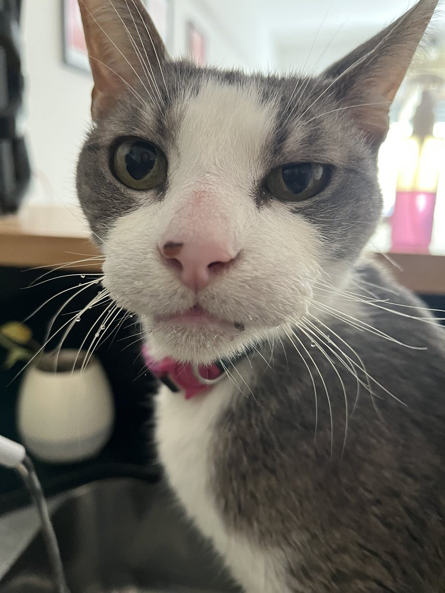 motoRPsic's tweet photo. Ojalá hayas sido tan feliz con nosotros como nosotros lo fuimos con vos. El dolor es y será insoportable. Te voy a buscar hasta el fin de mis días, y te voy a extrañar para toda la eternidad.

      Hasta siempre mi amor❤️ https://t.co/8waEGdfOHC