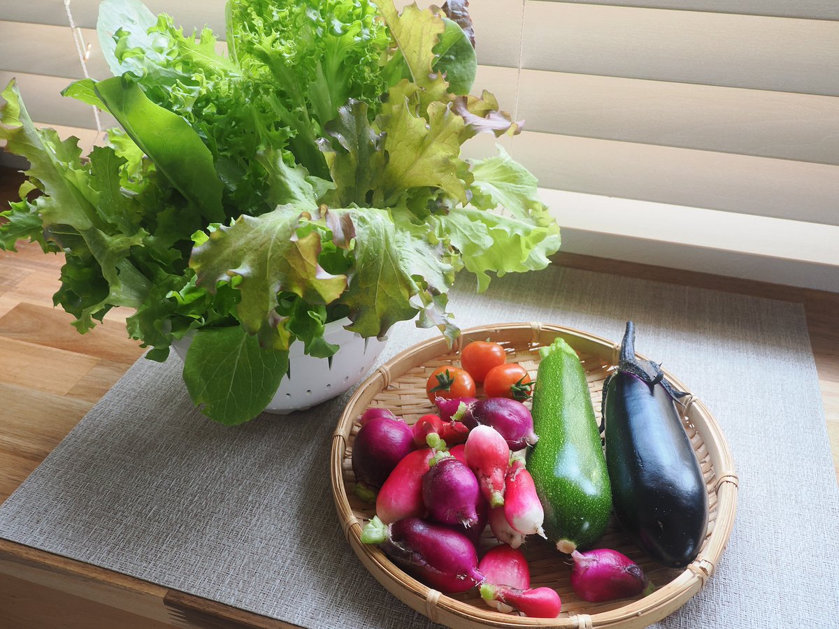 sen_fm's tweet photo. 7月のスタートは薄曇り
朝から畑の野菜を収穫して
昨日収穫したジャガイモの重さを測ってみる
キタアカリ19.3kg、メークイン18.6kg
小振りなイモが多かったが、そこそこ豊作🥔

珈琲淹れて
今月も笑顔でどうぞよろしく☺️ https://t.co/2QniQKmZu9
