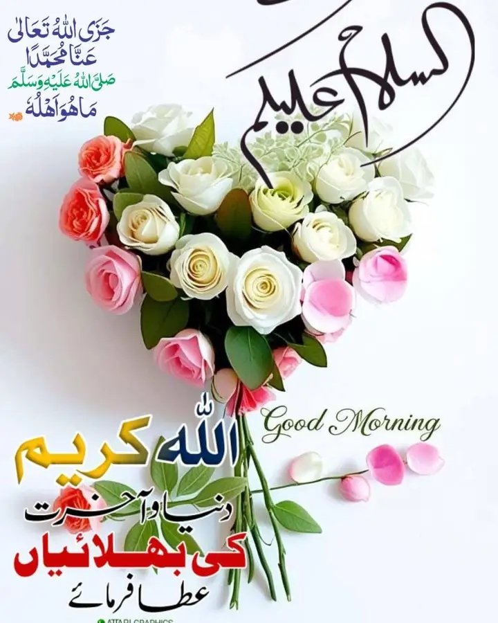 Naila Chowdhary tweet media