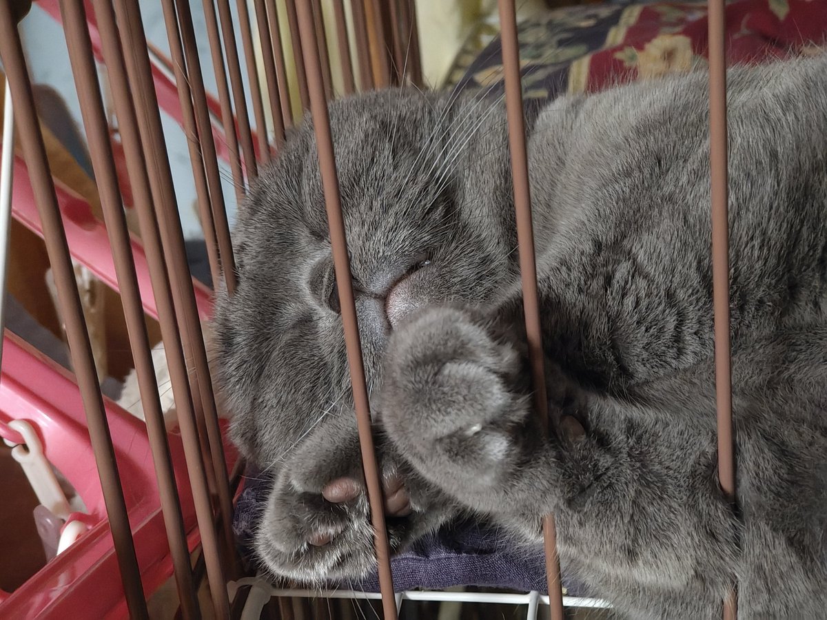 asanagisigure's tweet photo. このように防ぐのだ https://t.co/fTW1pTLOpD