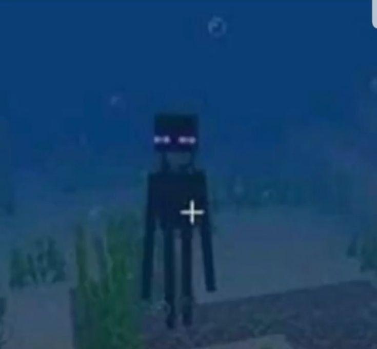 MinecraftMeme16's tweet photo. I don't think he's okay.. https://t.co/UBmftgFvM1