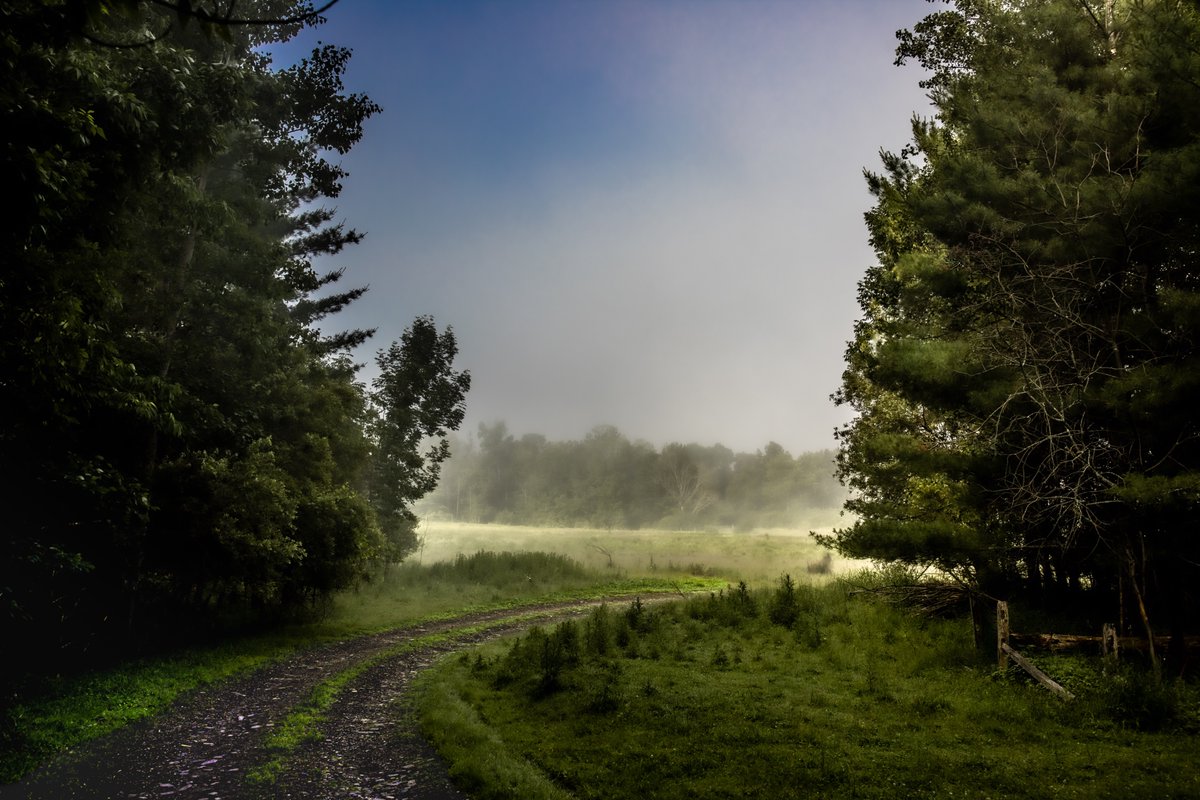 fotogosaurus's tweet photo. round the bend https://t.co/lFc2SwHqMW #VT #Vermont #NewEngland #moment #landscape #landscapePhoto #LandscapePhotography #mist #Fog #earlyAM #earlyMorning #sunComingThrough #June #Summer #break #Canon #Bend #CountryRoad #DirtRoad #Rural #ruralLife #ruralLiving #field #Farm https://t.co/3OhCsA4rAQ