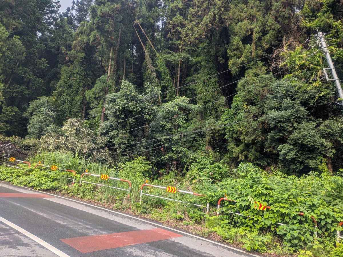 yutoom520's tweet photo. 寄居町秋山倒木が。。
電線が。。 https://t.co/mrOkoDUZmH