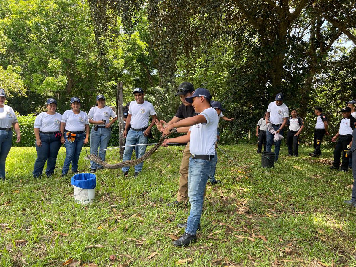 CvbEnb's tweet photo. Bajo la coordinación de la Directora Académica, Oficial Mónica González, y el liderazgo del Mayor Alexander Pinto, la 14ª Extensión de Puerto Barrios sigue formando futuros héroes. 🇬🇹🔥 https://t.co/tmOP0m4Wpa