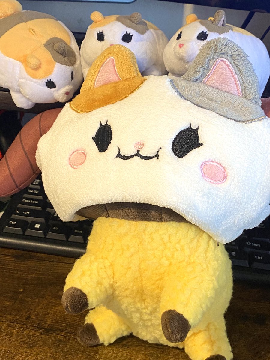 marupokodon's tweet photo. ファッキャーン https://t.co/b8lSCleBWH