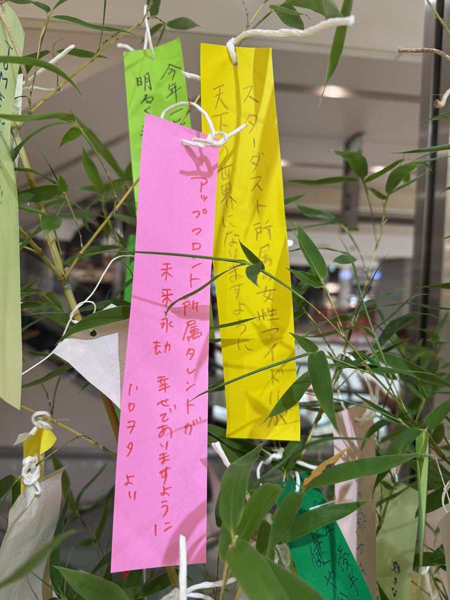 usachoco's tweet photo. 世界中の推しが幸せでありますように

#七夕2026 https://t.co/u8bFcxpcES