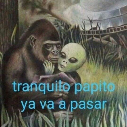vxzvikk_'s tweet photo. @Antozre Yo amija a veces me siento como un pilin sin pararse 😢 https://t.co/7ScFYBHPEt