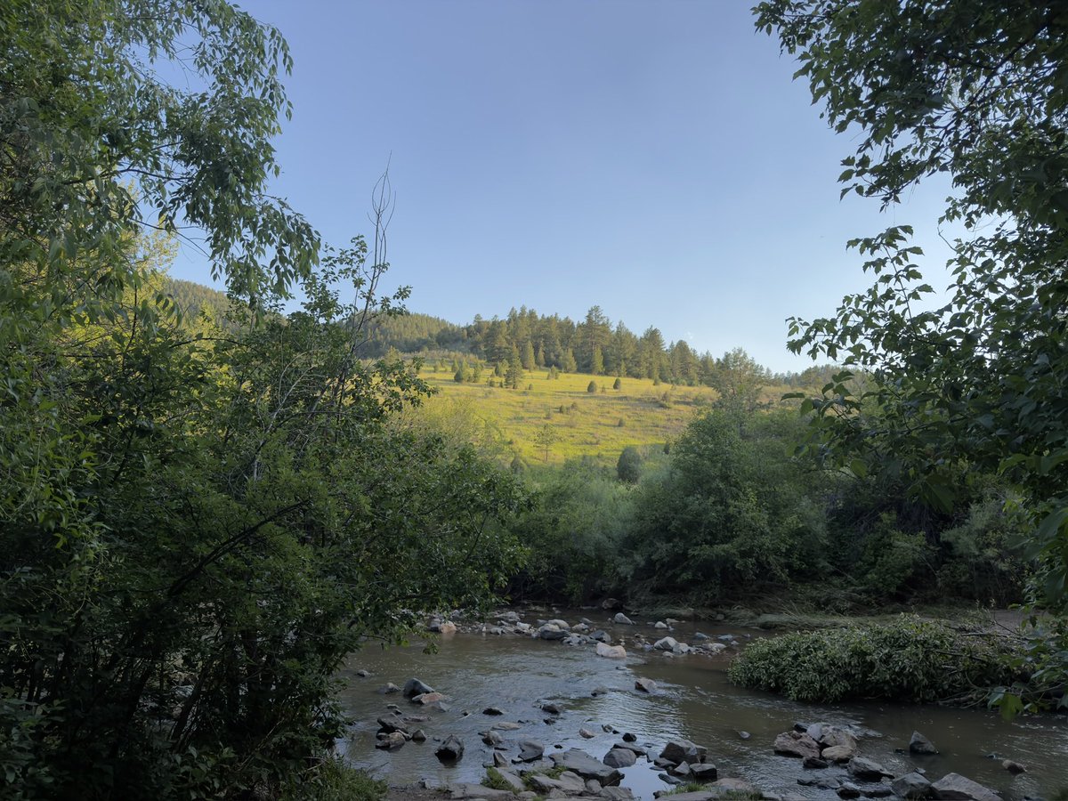mr_visual_me's tweet photo. End of June 2026.  Onto more mountain adventures.  #hiking #colorado #nature https://t.co/R56p5Cb8sc