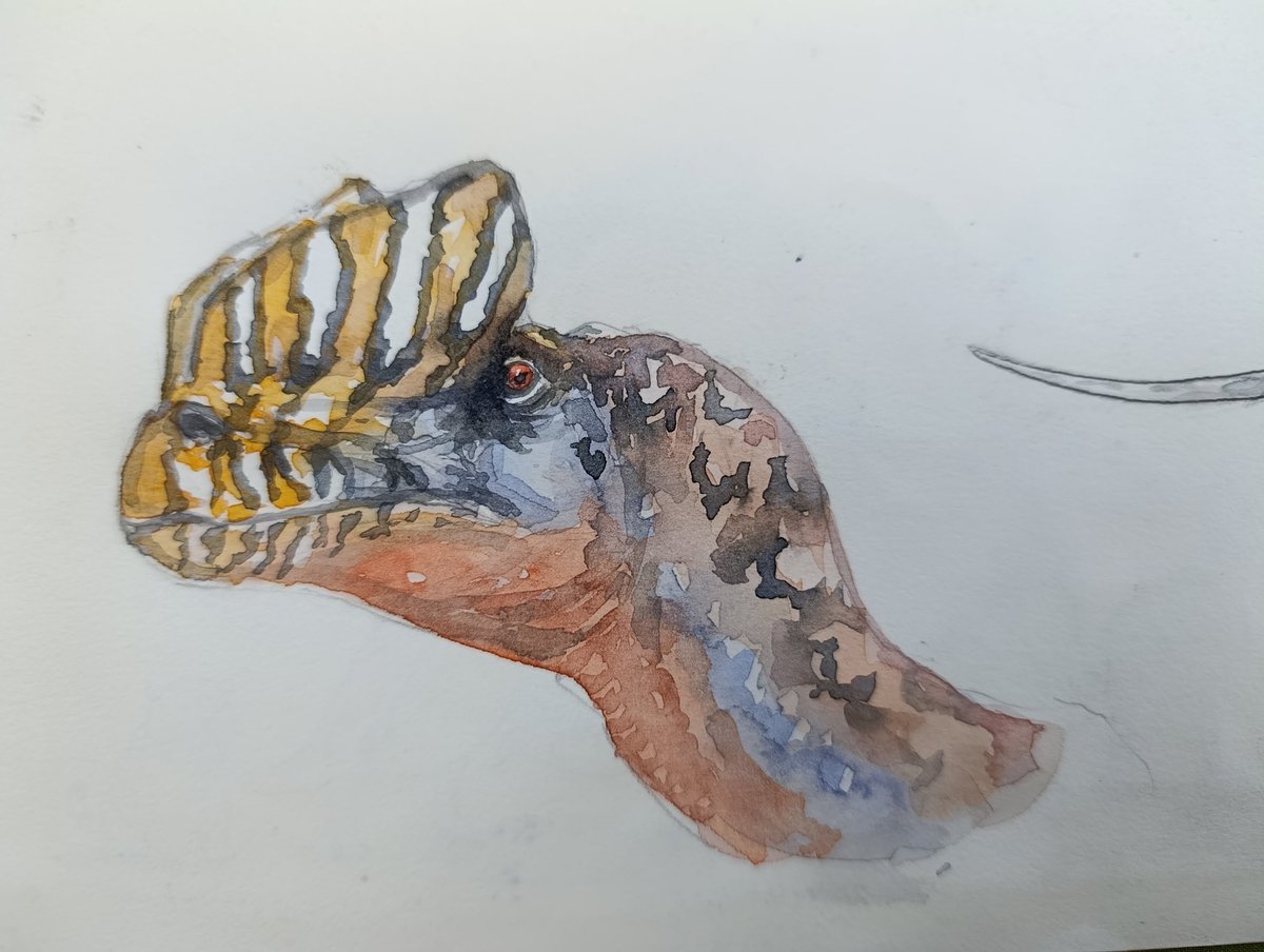 mantian2006's tweet photo. Dilophosaurus https://t.co/iek7xHWZRv