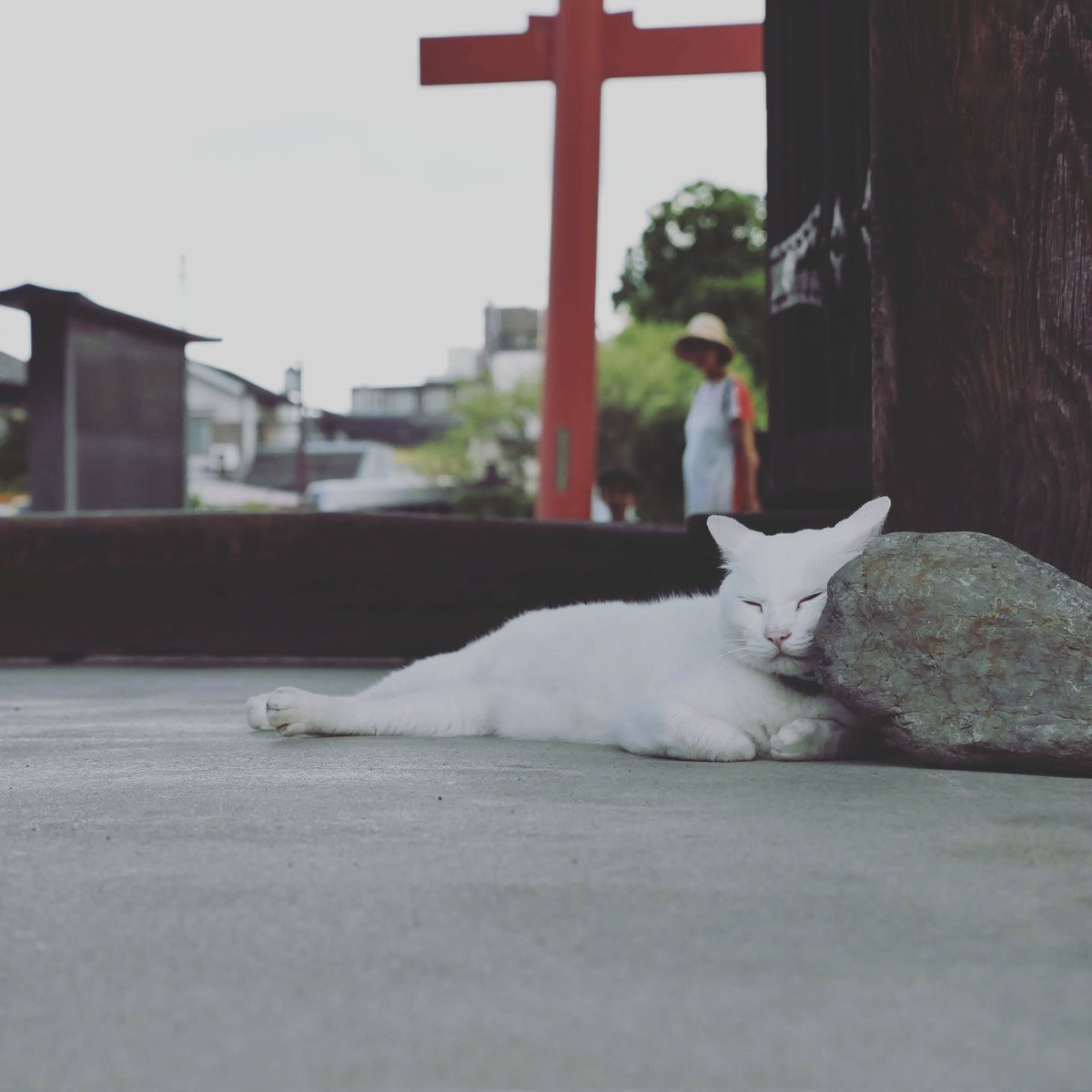 romio171's tweet photo. 石枕 https://t.co/JH4cxustwG