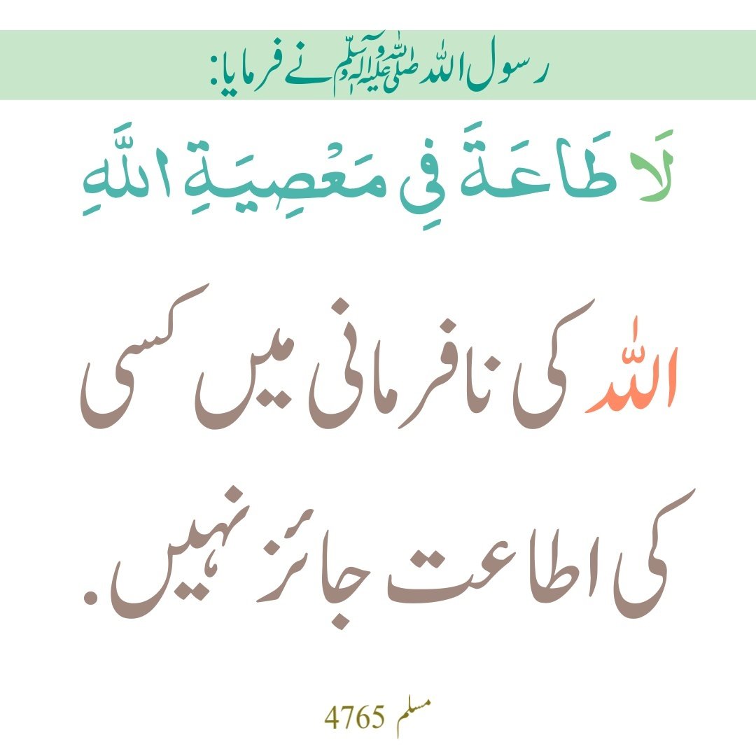 Preeshy804's tweet photo. اسلام علیکم صبح بخیر 🧡 https://t.co/RlCPuJY6Hc