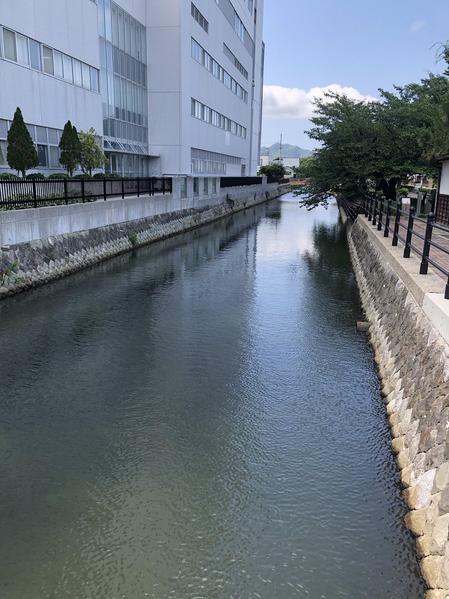 kumamariko's tweet photo. 市内のありとあらゆる堀や川で音もなく突然現れる舟に驚かされる https://t.co/rkvjV0akyQ