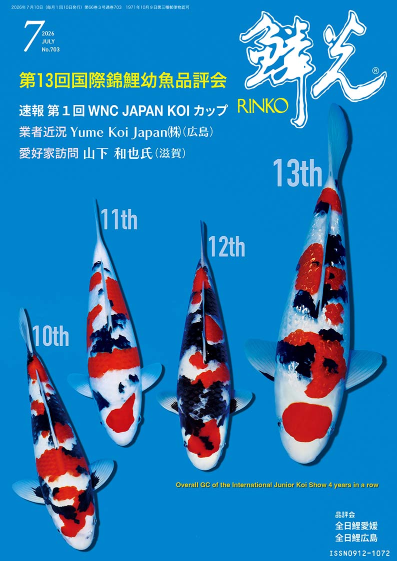 鱗光（No．703（2026 7）） 錦鯉の専門誌 7/1 発売 愛鯉家のための錦鯉