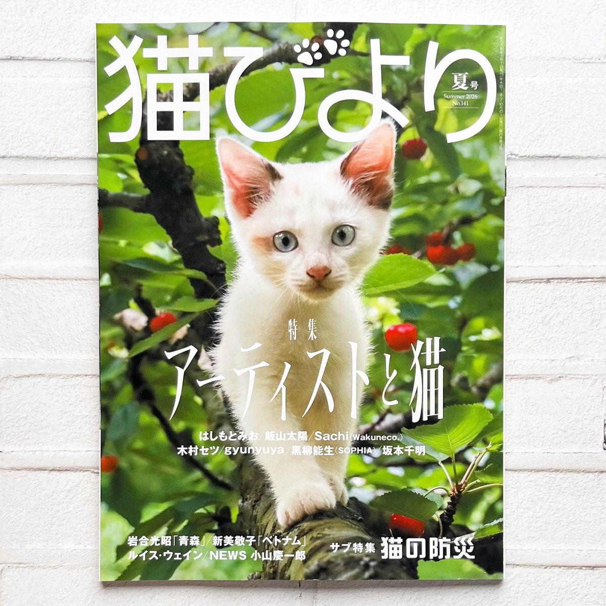 猫びより 2026年 夏号』が入荷しました！🐈☀️ 今号の特集は