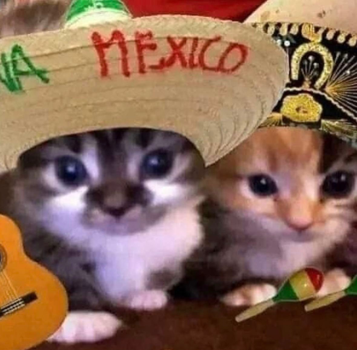 MFWATCH18's tweet photo. @PlantaPower7 Ayuda me estoy ilusionando otra vez con el tri https://t.co/RGRliVkZBI