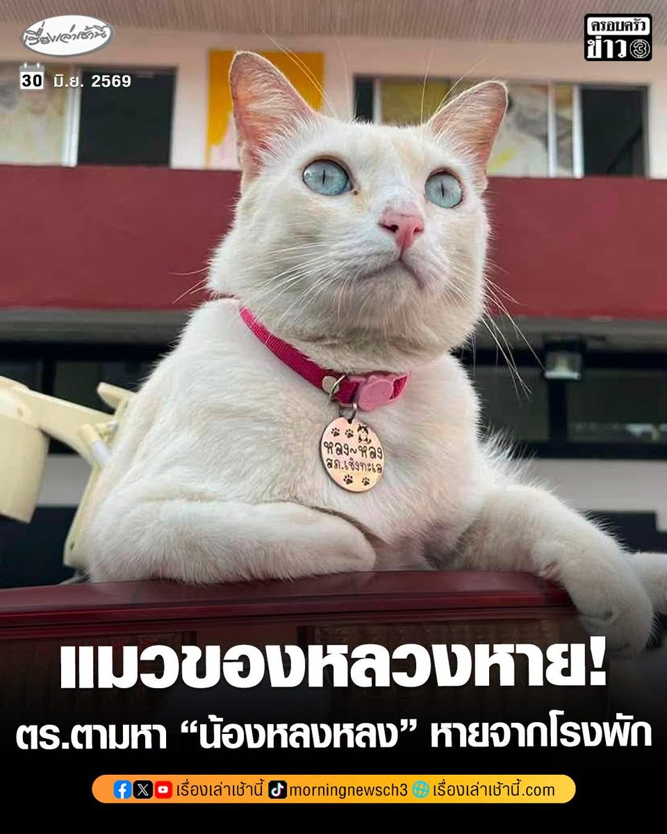 Toonee8008's tweet photo. ขอให้เจอน้องไวๆนะคะ https://t.co/0XqAfXmZ3s