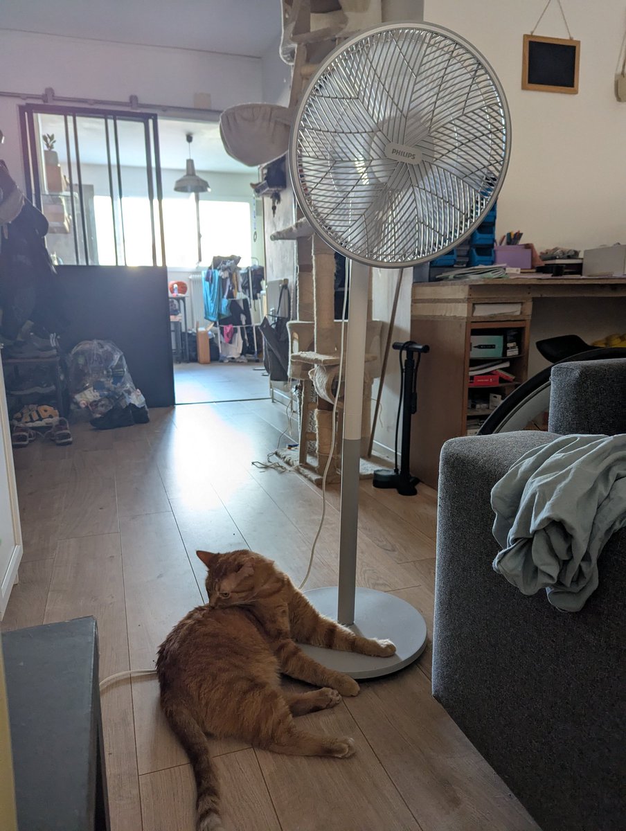 Looking4Pipick's tweet photo. Mon fils, gardien du Saint Ventilateur 🙏 https://t.co/OBdnfUa03B