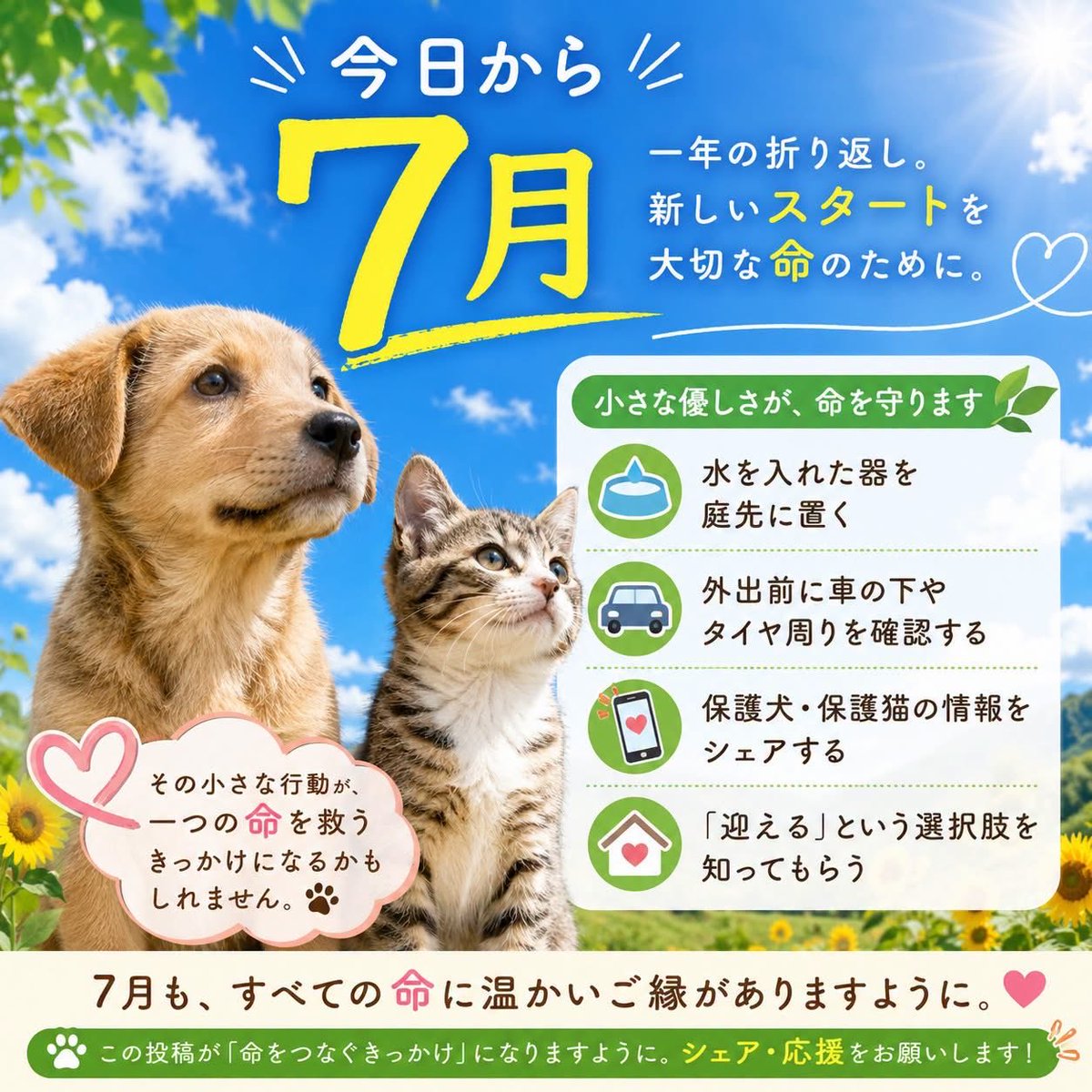 FSDC_com's tweet photo. 日から7月。小さな優しさが、大きな命を守ります】🐶🐱

今日から7月。
一年も折り返しを迎えました。 

#保護犬 #保護猫 #里親募集リンク集 #保健所 #動物愛護 #犬好きさんと繋がりたい #猫好きさんと繋がりたい #命をつなぐ #小さな命を守ろう #7月スタート

https://t.co/vjD0SmzZMa https://t.co/rDKlgjdgfo