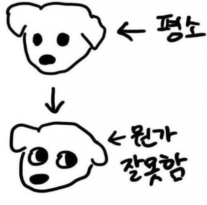 snowynnub's tweet photo. 시선먼저 할때 완전 눈치보는 강아지같은데🥹 https://t.co/KyIaTTuQGg