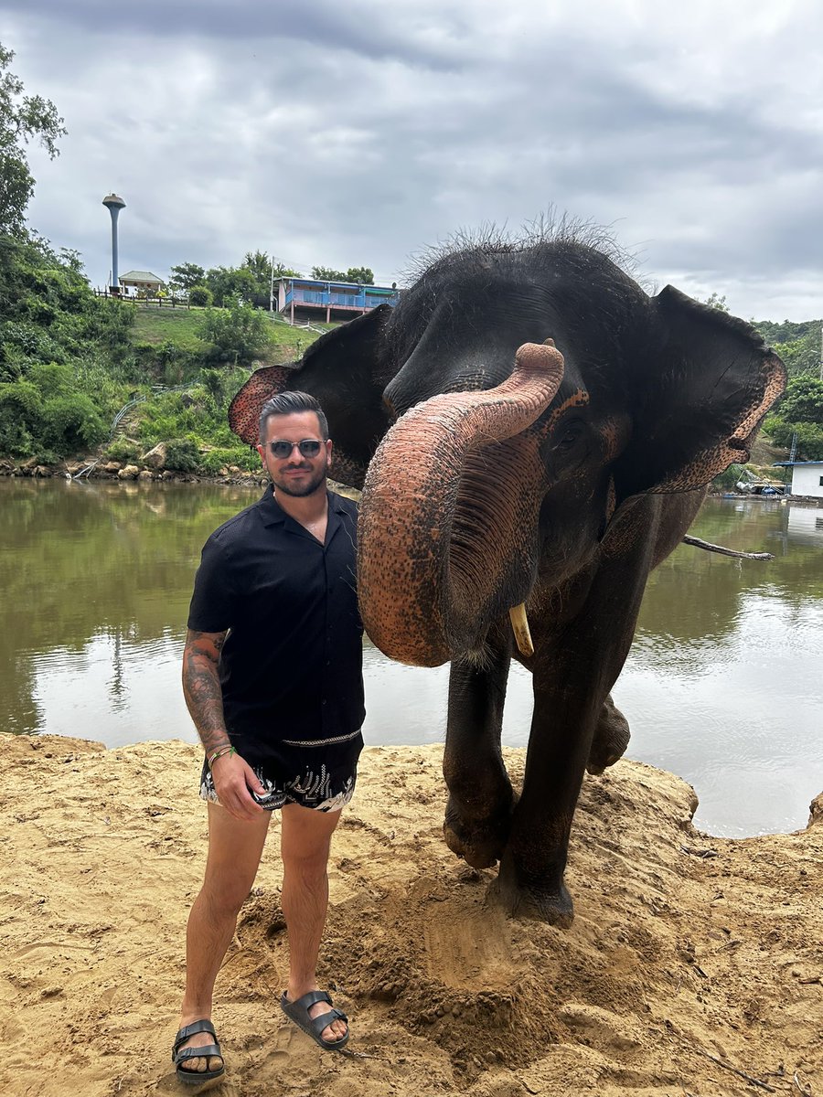 J_Fernandes93's tweet photo. Wow. Wow. Wow. 🐘 🇹🇭 https://t.co/zEuYjF4MaQ