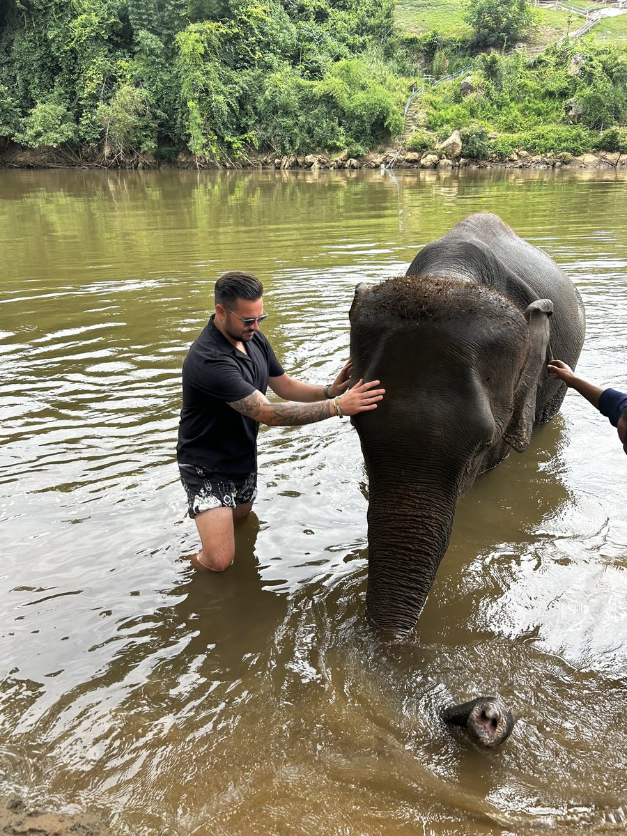 J_Fernandes93's tweet photo. Wow. Wow. Wow. 🐘 🇹🇭 https://t.co/zEuYjF4MaQ