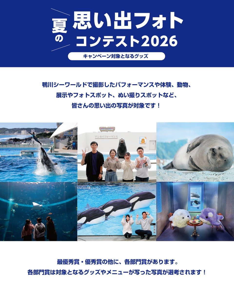 鴨川シーワールド【公式】 (@kamoseaOfficial) / Posts / X