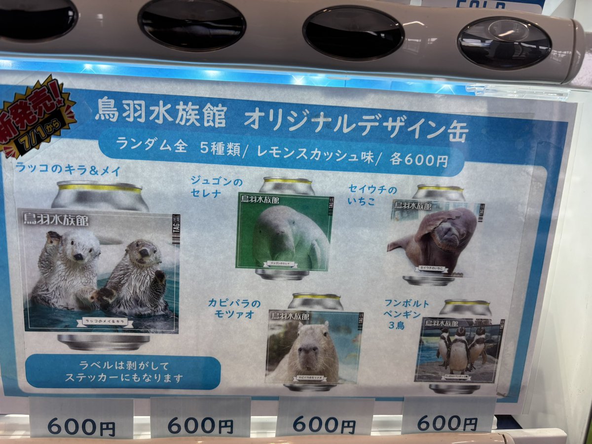 Mingeamgyu's tweet photo. #鳥羽水族館 https://t.co/W3Bo0bWNdq