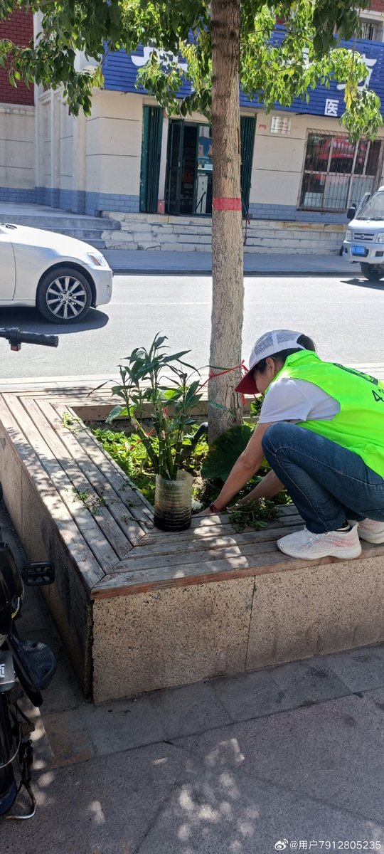 jehankhateeb's tweet photo. Community fun alert! Join our neighborhood clean-up this Saturday 9am at Central Park. Free snacks u0026 good vibes only—see you there! https://t.co/bEFBI9Mhwr