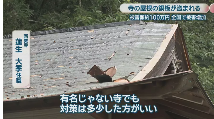 sanfuku3's tweet photo. 酷い。このままだと伝統工法で建てられたお寺や神社の屋根が全部剥がされる🥺

銅板が盗まれたのは、さぬき市にある「西教寺」の奥の院。
屋根を覆っていた銅板が全て剥がされ、被害額は約100万円。
（西教寺／蓮生大季 住職）
「怒りも湧いてこないというか、こんなことをする人がいると残念な気持ちでいっぱいです」

西教寺では、同じような被害に遭わないためにトタンなどで屋根を修復することを検討している。

トタンで修理なんて😢
日本人はいつまで我慢しなくちゃいけないの
金属くず、自動車関連のヤード、外国人にも簡単に経営許可与えてるから窃盗が増えるんだよ
金の事しか頭にない外国人を、自民党や財界が有難がって沢山入れてしまったからこうなった😡

寺の屋根の銅板が剥がされる 警察が窃盗事件として捜査　住職「実際に自分のところで起こるとは…」　香川・さぬき市 https://t.co/SxlVefkgXj @YouTubeより