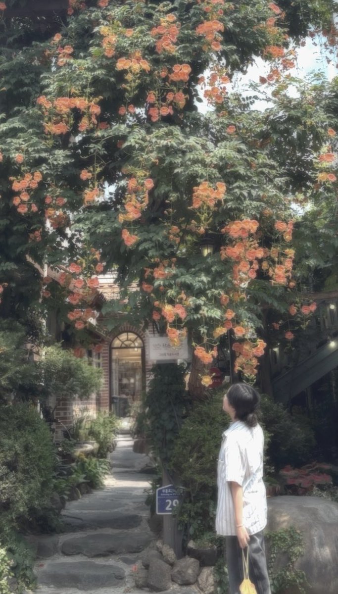 Chira0709's tweet photo. 능소화와 함께 남겨둔 오늘  • • •  🧡 https://t.co/JBsckImIOm