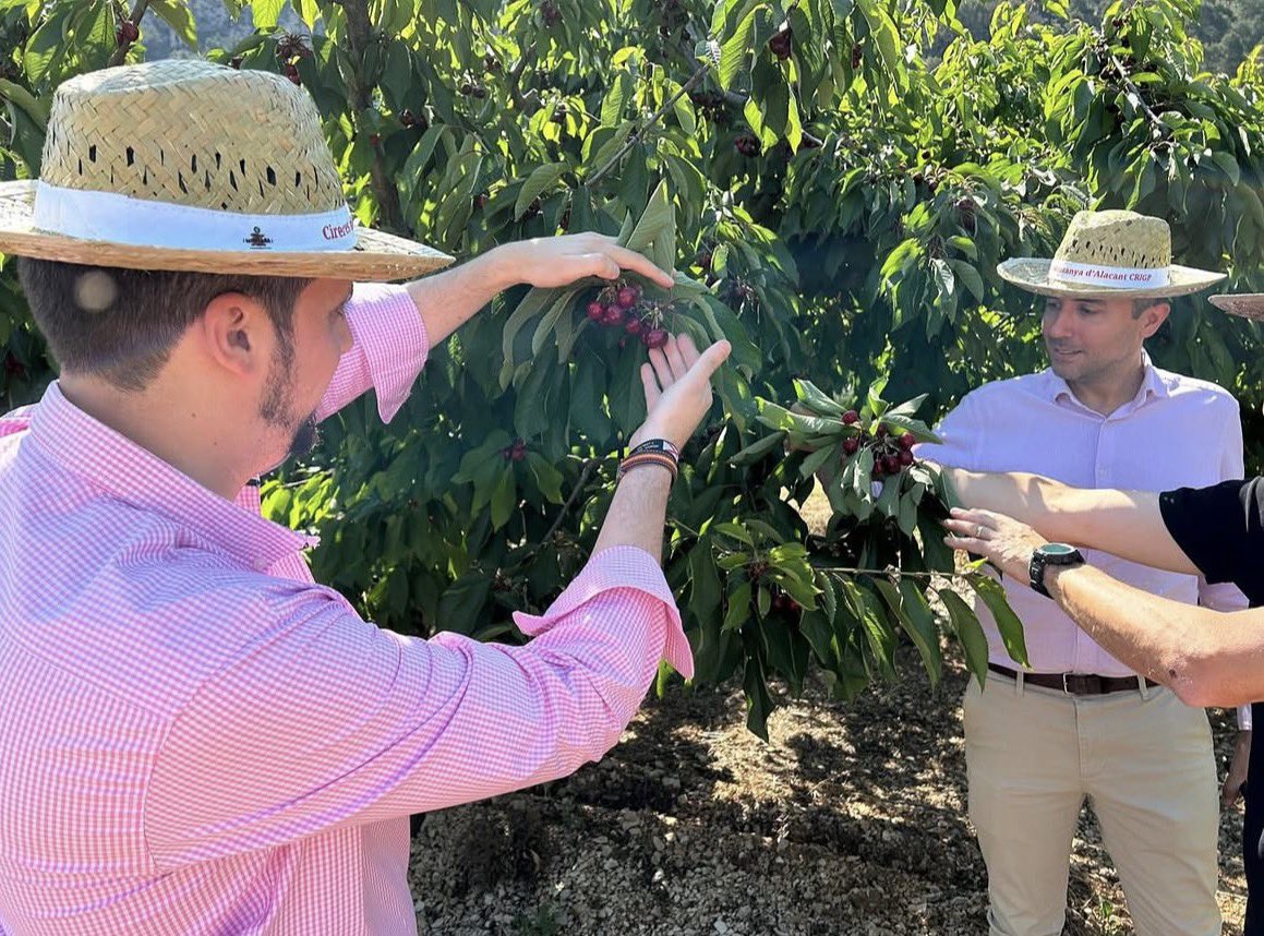 JoseMuoz1993's tweet photo. 🍒Hoy celebramos el Día Internacional de la Fruta, una oportunidad para recordar la importancia de incluir fruta fresca en nuestra alimentación y apostar por el producto nacional.

🚜Elegir fruta de temporada y de origen local es cuidar de nuestra salud, apoyar a nuestros agricultores.