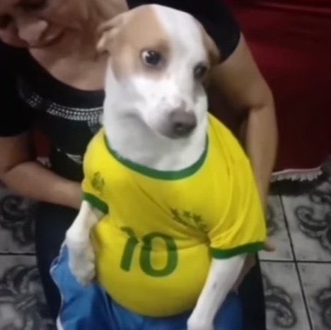 emarmtz99's tweet photo. @Deresan1k No dereck, ya te pareces al Babuino no festejando las victorias de la selección https://t.co/G9EqbIZ0lN