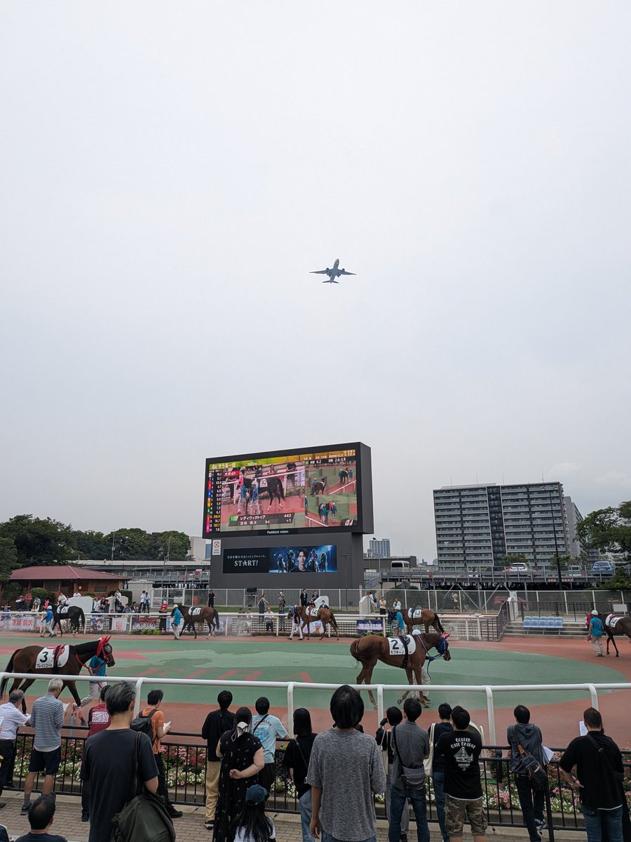 morooka_camera's tweet photo. なぜか競馬場に来ている https://t.co/rwm5MFHwXV