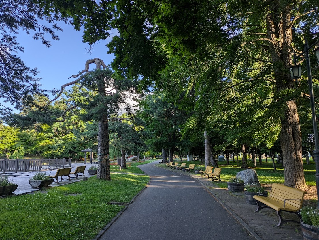 Tokyonobo's tweet photo. I selected a few photos taken in Asahikawa. Like other cities in Hokkaido, this beautiful city is struggling with a declining population. I hope it remains a beautiful and vibrant city forever. https://t.co/3wTHiQOPP3
