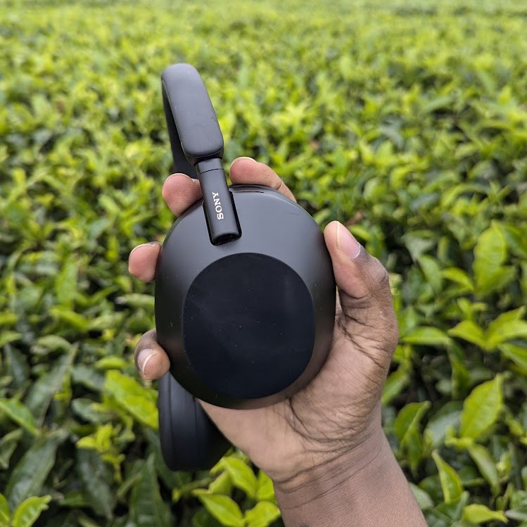 Kikuyu Pipes tweet media