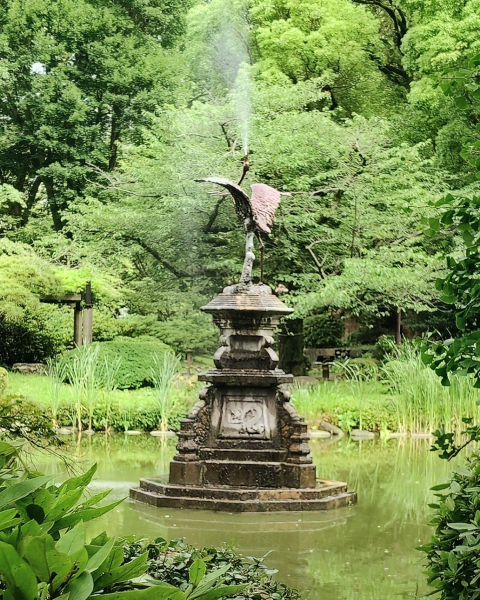 coco_furara's tweet photo. 日比谷公園へ望みをかけてユリを見に。さすがに台風の後だし終わりかけていました😓それでも良き散歩✨ https://t.co/4oQ3vYg864