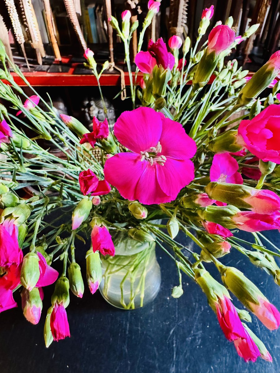 EmmanuelPierrat's tweet photo. C’est le retour des « petits » (on ne parle pas de la longueur des tiges) œillets dont les boutons roses s’ouvrent peu à peu…
#oeillets #fleurs #bouquet #flowers #bonheurdujour https://t.co/G37p2e8Iwh